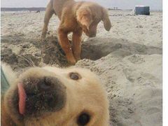 -康欣面包生日蛋糕(幸福店)