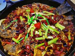 -老板恋上鱼(恒隆广场店)