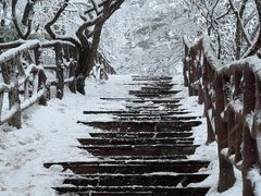 -瓦屋山景区
