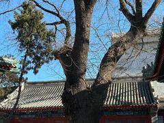 -贤良祠