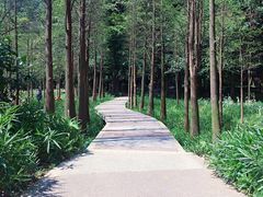 -广州市帽峰山景区