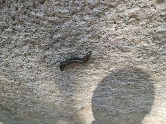 -碓臼峪自然风景区