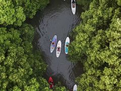 -动邦皮划艇·桨板·独木舟·团建户外运动俱乐部