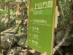 -大岭沟猕猴桃谷风景区