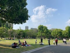 -青枫公园