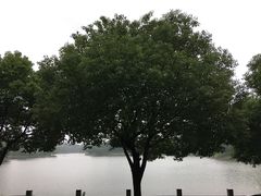 -渭塘酒家(生态园店)