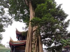 -峨眉山报国寺