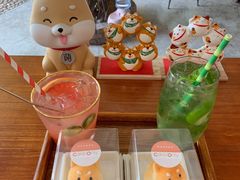 -柴犬高等学院·狗咖·柴犬售卖·宠物训练