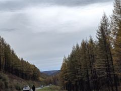 -塞罕坝国家级自然保护区