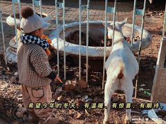 -1982农场