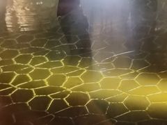 -海兰云天度假区温泉