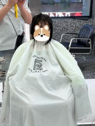 -厘里·salon