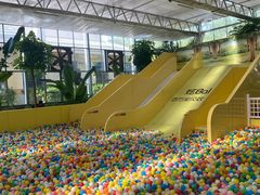 -南宫五洲植物乐园