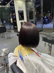 -风向标WIND VANE SALON