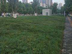 -龙头寺公园