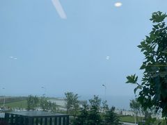 -了不起的考拉咖啡店(高新店)