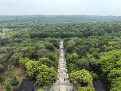 -宜兴龙背山森林公园