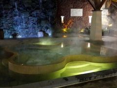 -天目湖涵田半山温泉