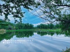 -国家植物园