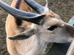 -宁波野生动物园