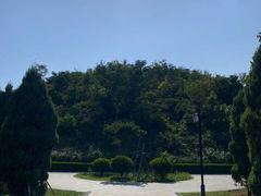 -洛阳古墓博物馆