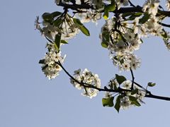 -晶牌烤鸭(延吉东路557弄小区店)