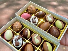 -Laderach 莱德拉(上海环贸iapm店)