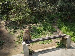 -黔灵山公园