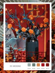 -DC大蔡婚礼策划(李公堤店)