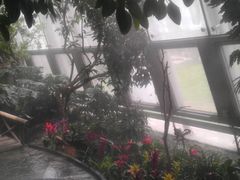 -北京植物园-展览温室
