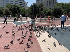 -加泰罗尼亚广场