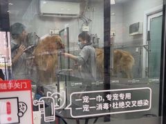 -宠物家(长阳店)
