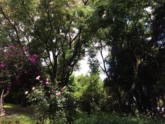 -南诏风情岛