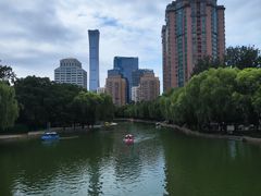 -团结湖公园