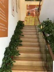 -妍美形体美肌健康管理中心