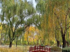 -玲珑塔公园