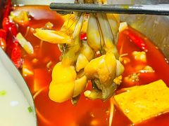 -麻田会 ·鲜活现烹·牛蛙火锅(珠江新城维家思广场店)