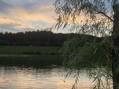 -清溪大王山森林公园