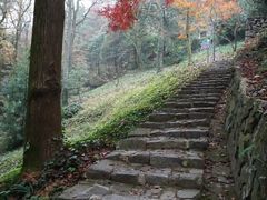 -莫干山风景区