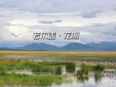 -花湖生态旅游区