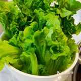 大梅沙秘境「山海结界」椰林秘境里的味觉盛宴！