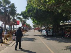 -南沙十九涌渔人码头-南门