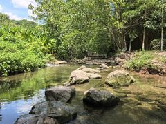 -重庆彩云湖湿地公园