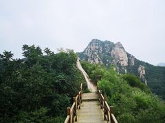 -大岭沟猕猴桃谷风景区