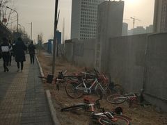 -世东国际