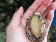 -蓝珊海鲜澳洲和牛自助餐厅