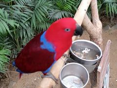 -南宫五洲植物乐园