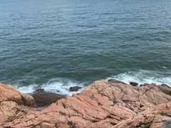 -广东惠东海龟国家级自然保护区