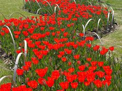 -玄武湖景区-情侣园游乐场