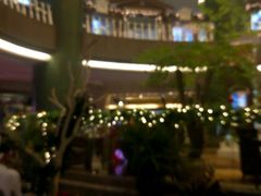 -成都凯宾斯基饭店